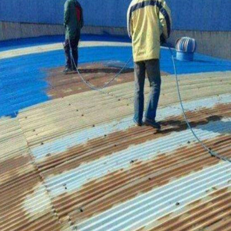 畜禽良种场地面翻新与地坪漆施工流程